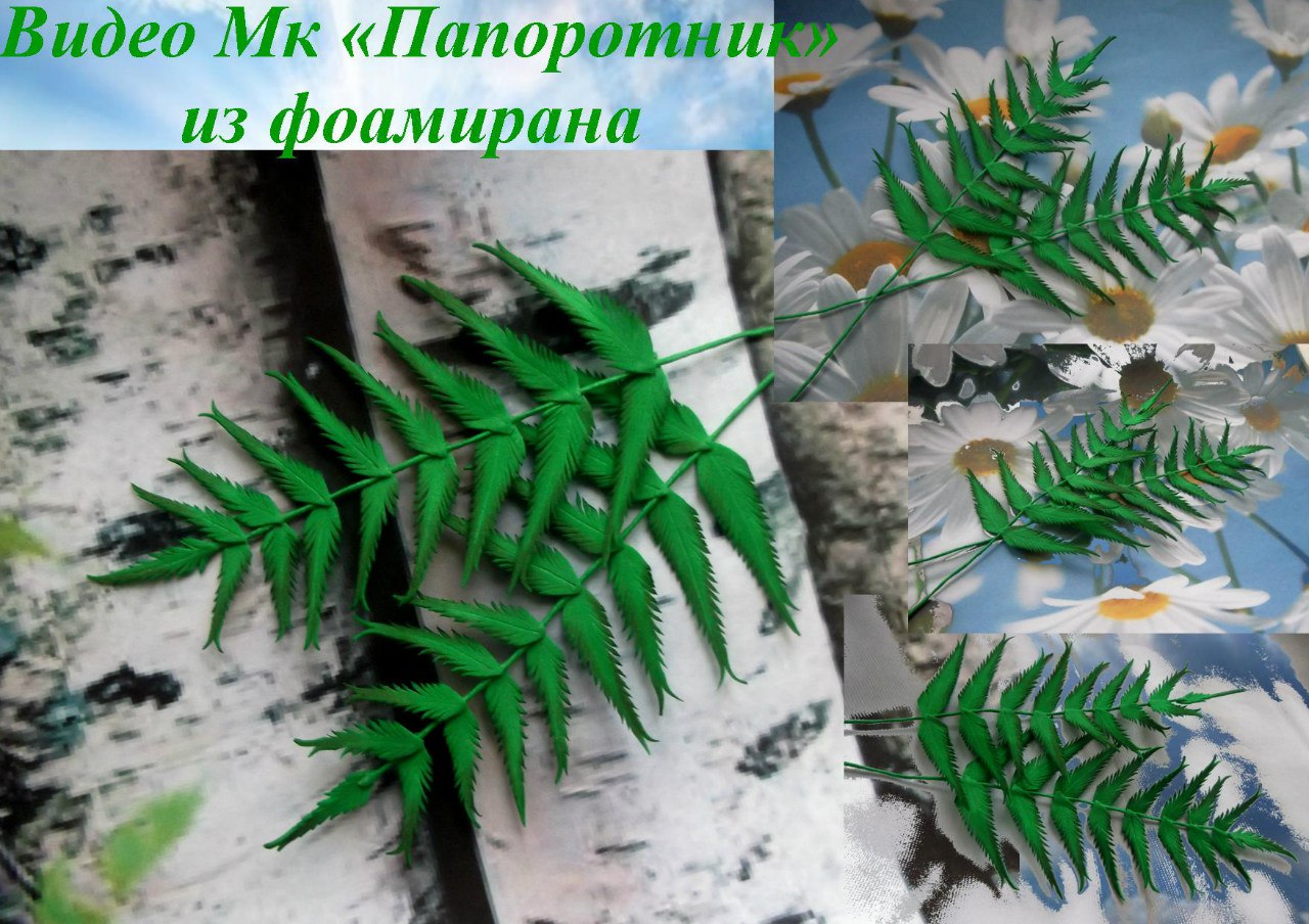 Папоротник из фоамирана - Мирсанова (2016)_0.jpg